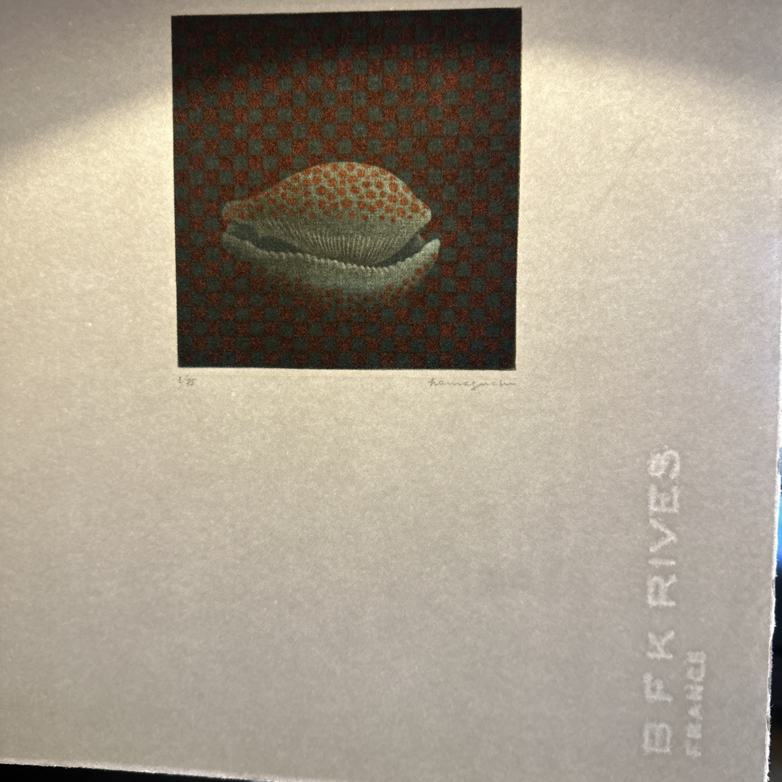 Yozo Hamaguchi | Shell (1976) | MutualArt