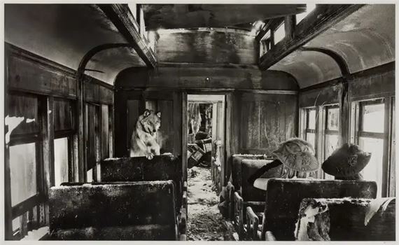 Ride the Ghost Train - David Yarrow