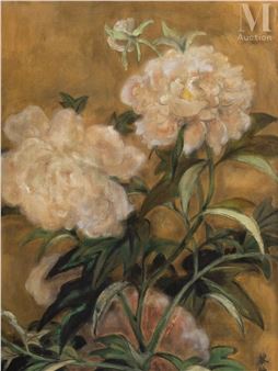 Pivoines