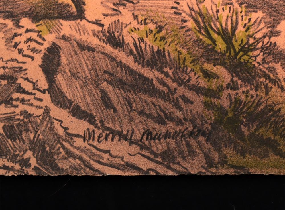 Artwork by Merrill Mahaffey, View from Deer Creek, Made of lithograph