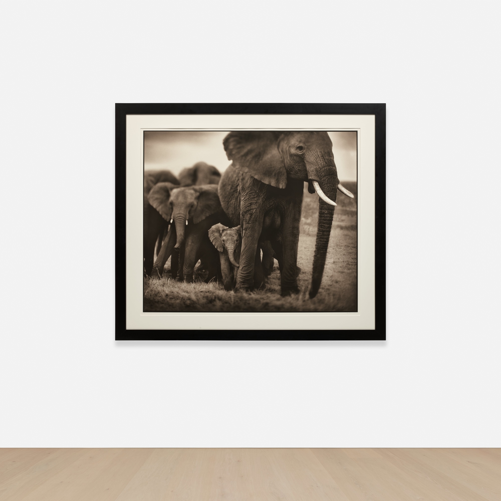 nick-brandt-elephant-mother-and-two-babies-2002-mutualart