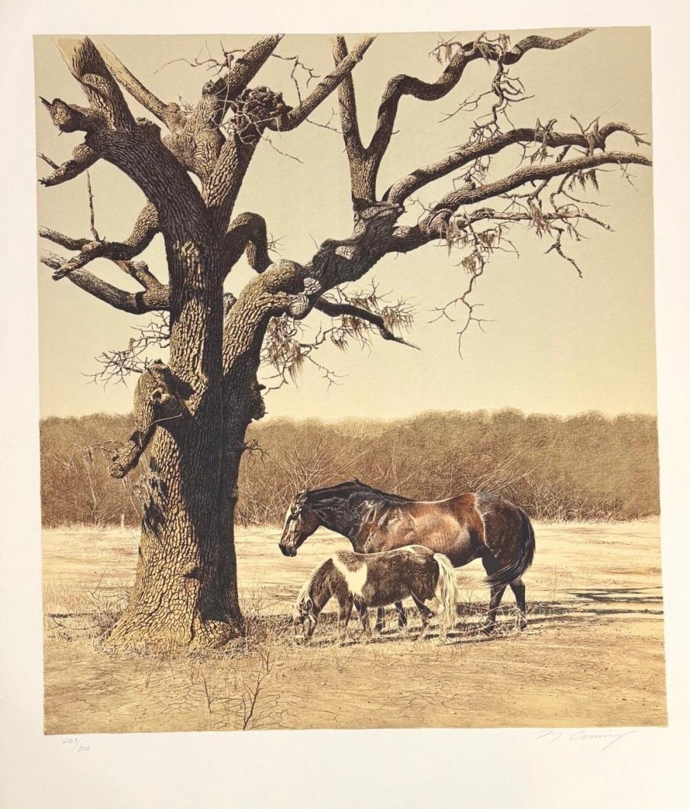 Merv Corning | Untitled | MutualArt
