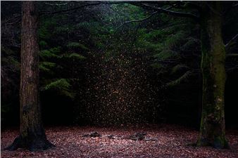 Aesthetica Art Prize: Celebrating 20 Years