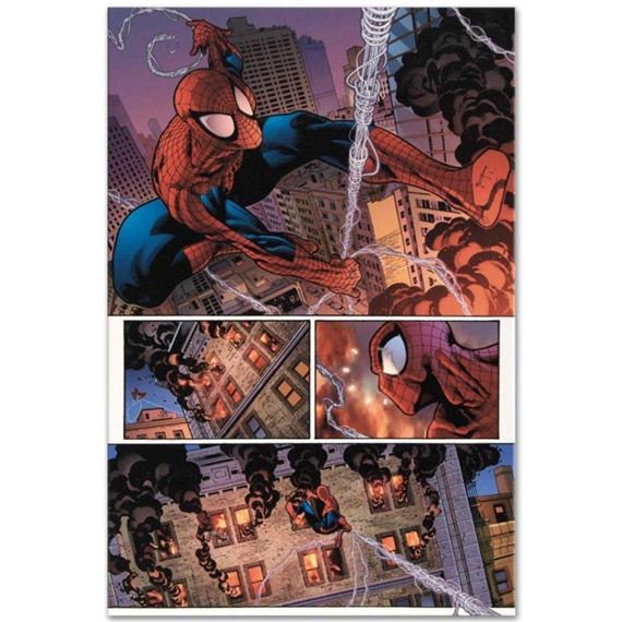 Paulo Siqueira | The Amazing Spider-Man #596 | MutualArt