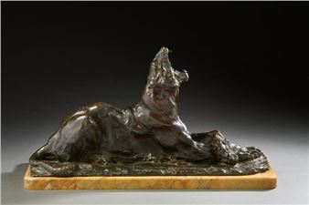 Reclining Lioness Yawning