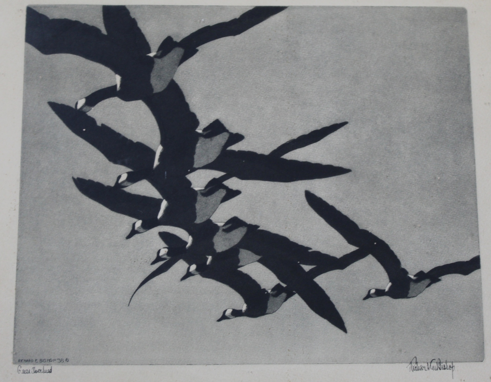 Richard Bishop | Geese Overland | MutualArt
