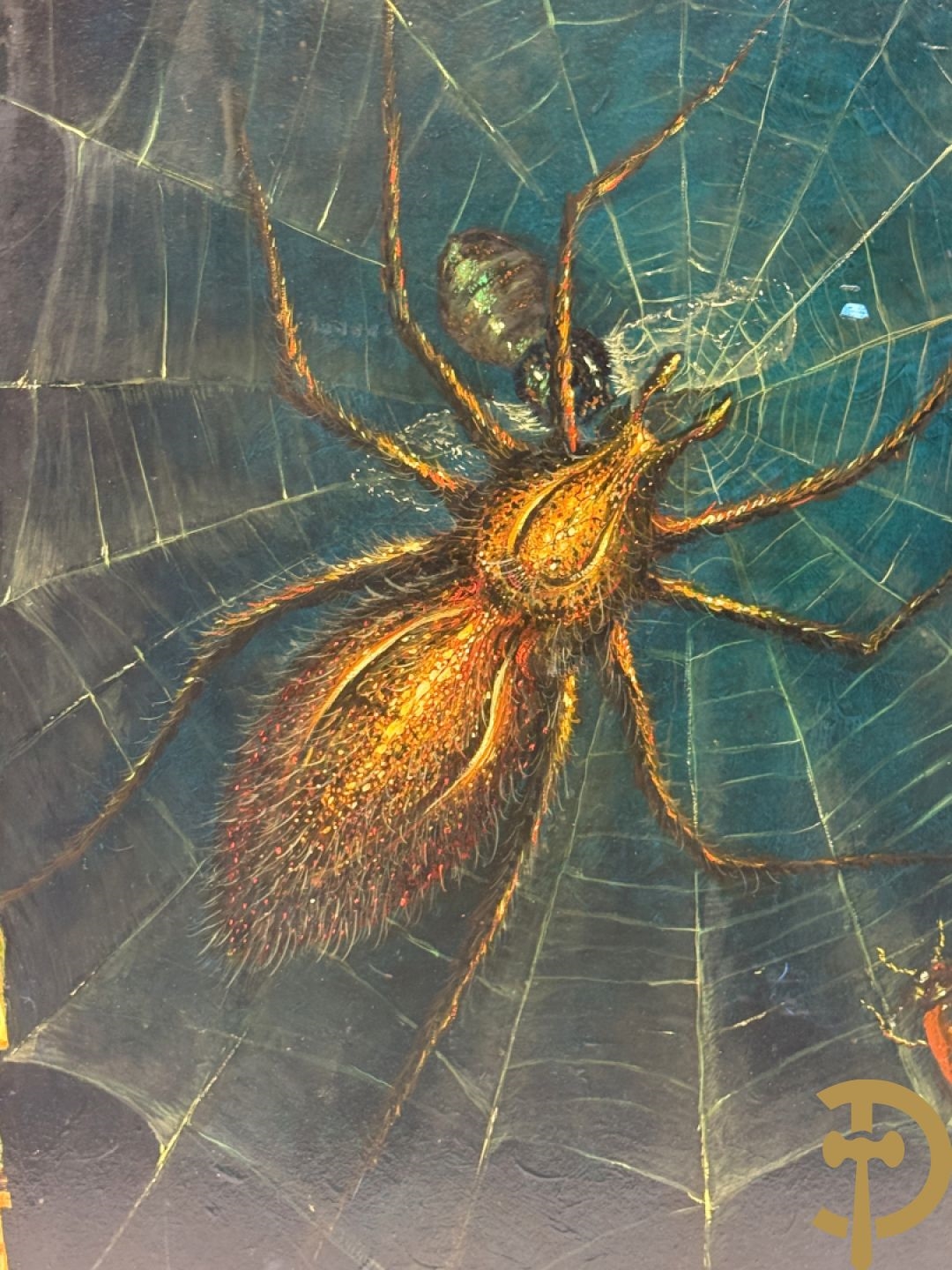 Marc Deltour | Good and evil, spider in web with fly and ladybug ...