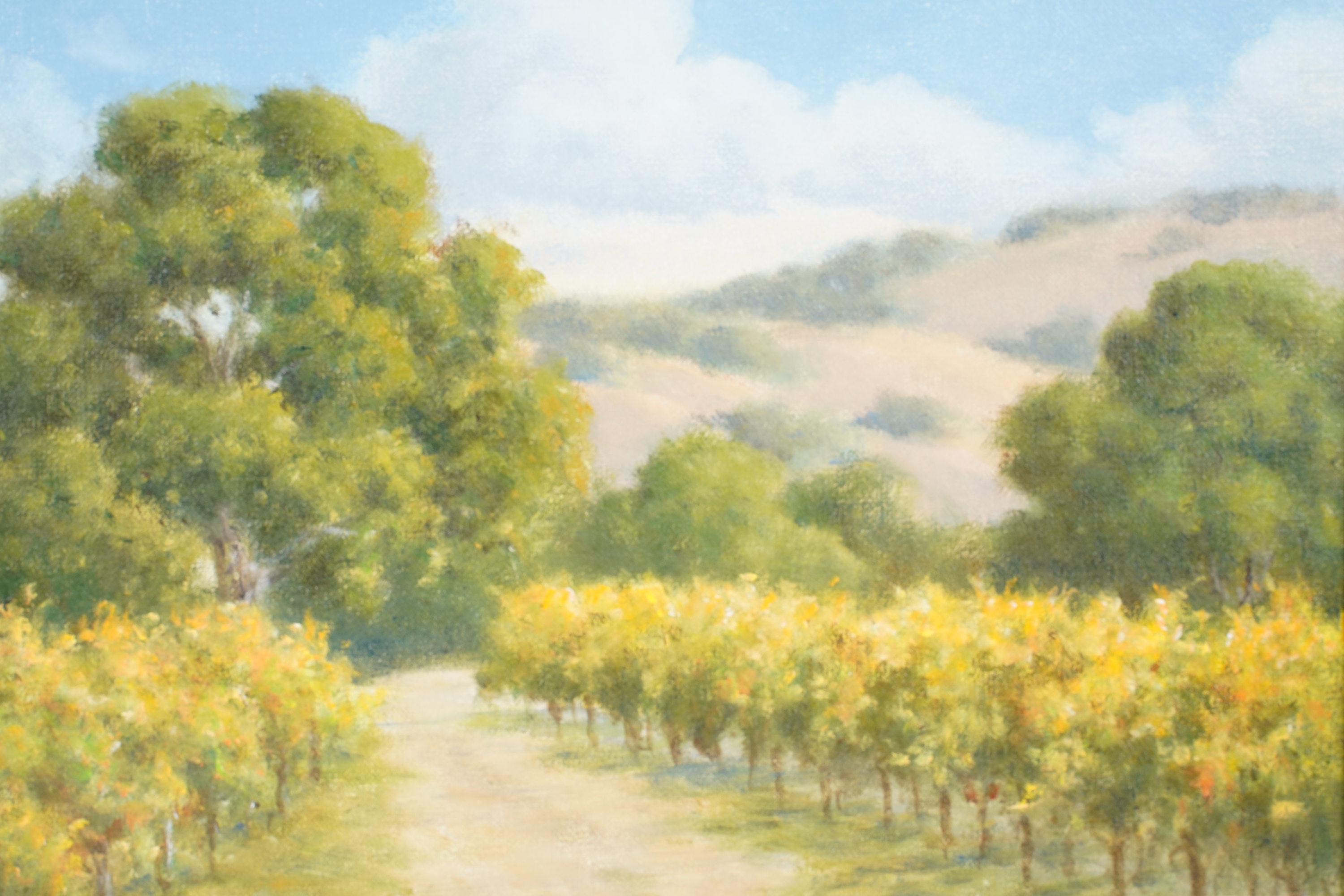 David Chapple | October Vines | MutualArt