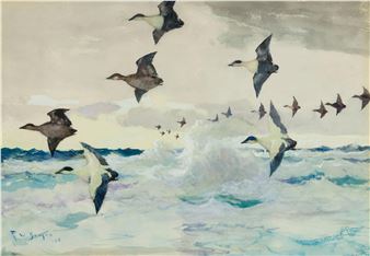 Eiders (Ducks Aflight