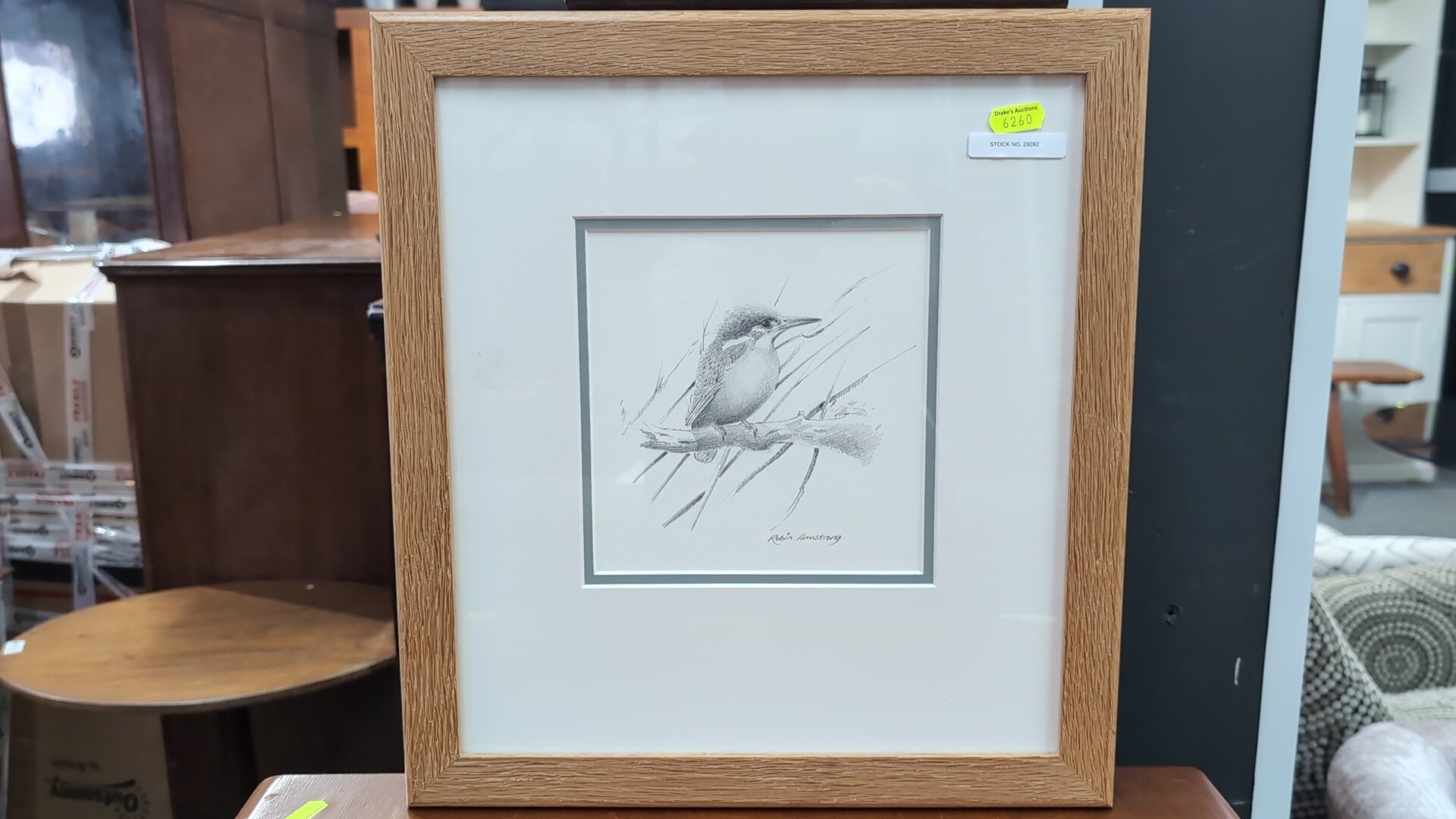 Robin Armstrong | bird study perched on a branch amid suggested reeds ...