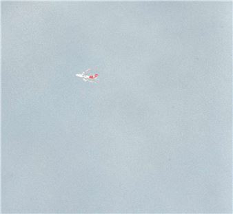 A distant airplane with red tail against a vast, textured gray sky.