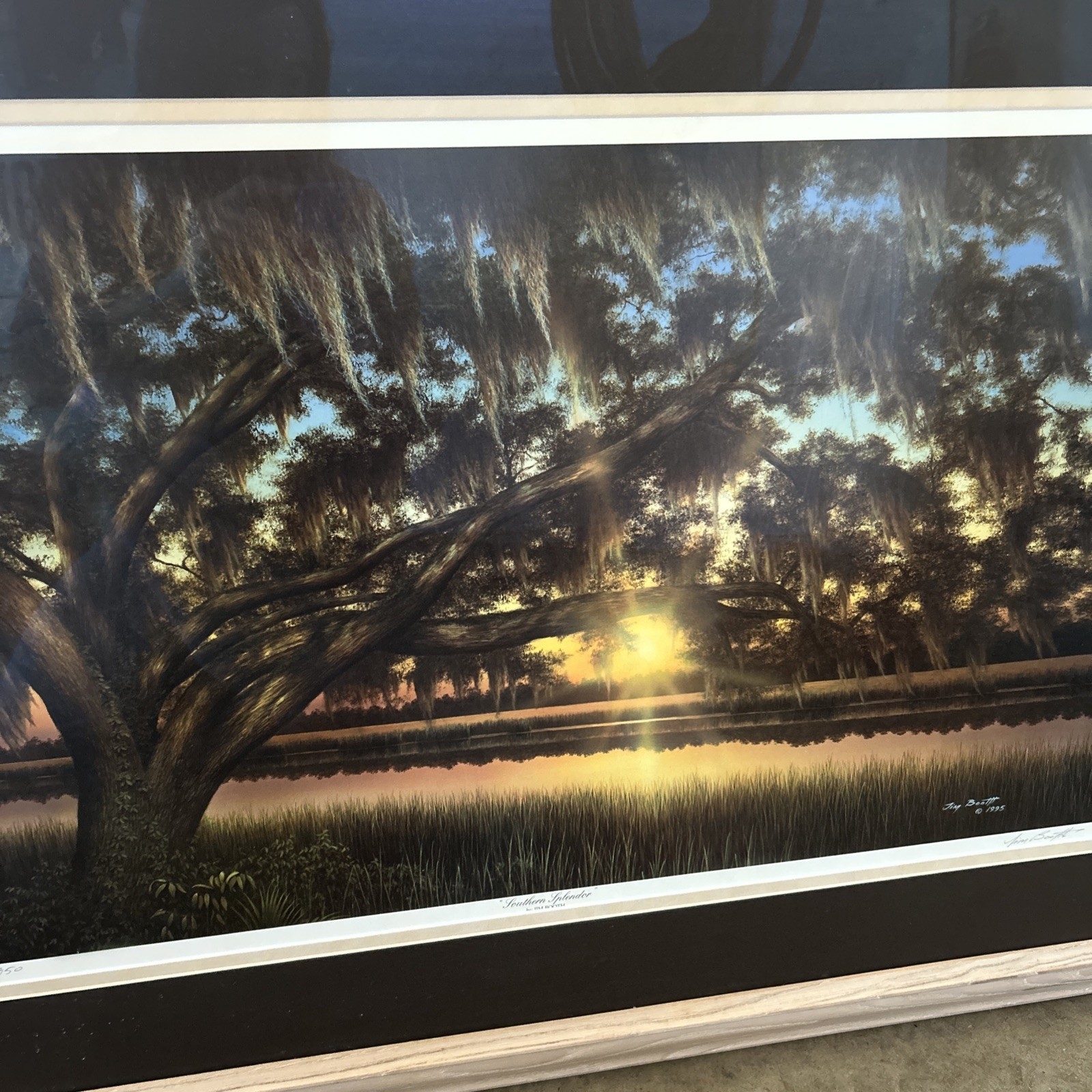 Jim Booth | Southern Splendor (1995) | MutualArt