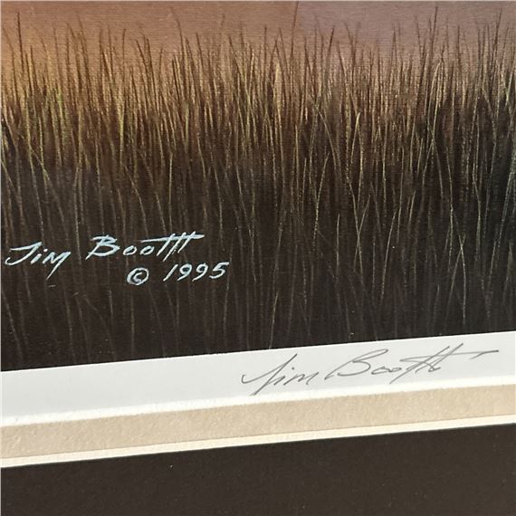 Jim Booth | Southern Splendor (1995) | MutualArt