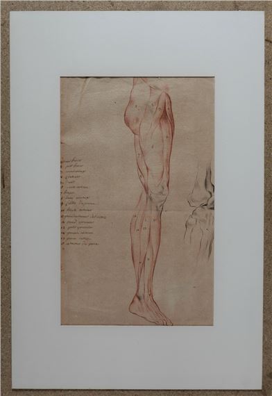 French School, 20th Century | Ancient Drawing Human Body Anatomy Flayed ...
