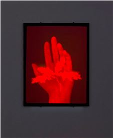 Steegmann Mangrané bridges Amazonian cosmology and art at Mendes Wood DM in Sao Paulo