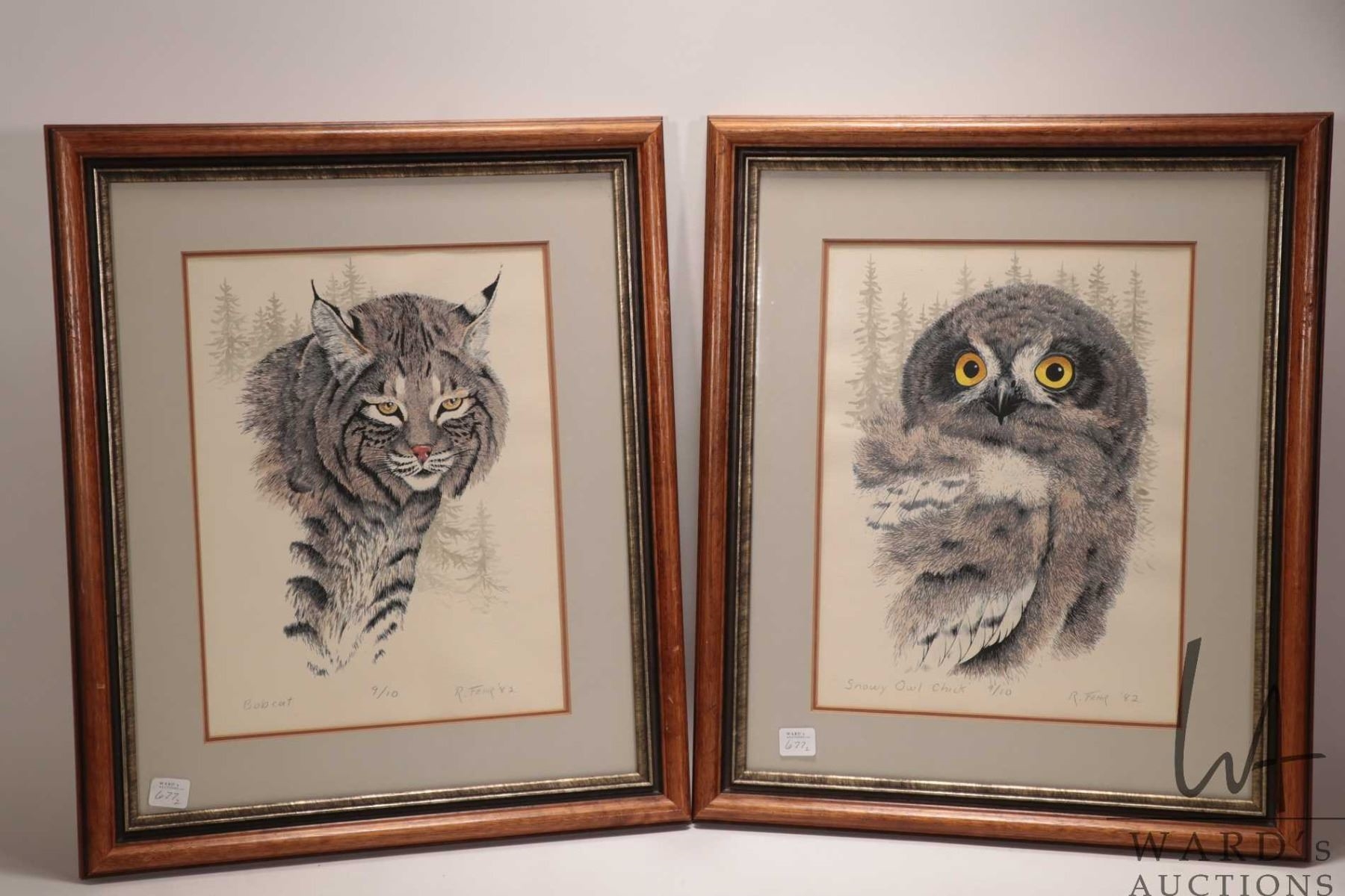 Randy Fehr | Snowy Owl Chick, Bobcat (1982) | MutualArt