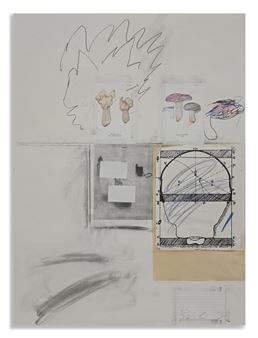 A mixed-media collage featuring botanical sketches, architectural diagrams, and abstract charcoal marks.