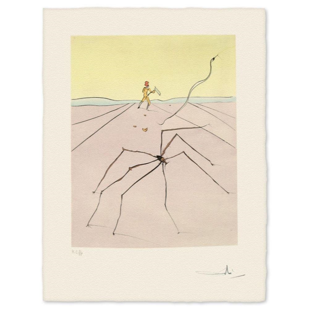 Salvador Dalí | Kumo- The Weaver Spider | MutualArt