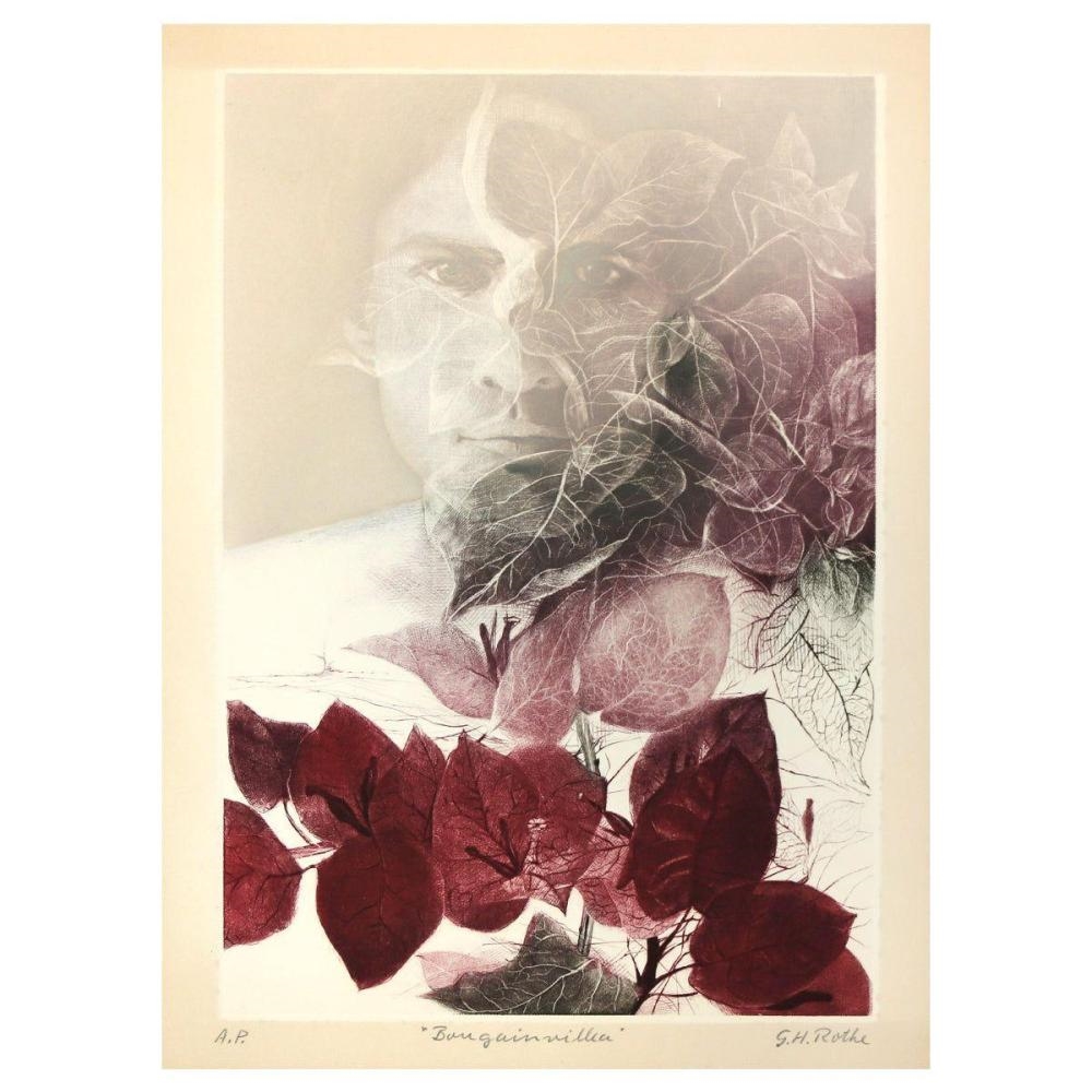 Gatja Helgart Rothe | Bougainvillea | MutualArt
