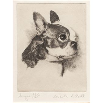 A detailed etching portrait of a small dog's head in profile.