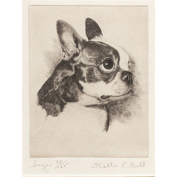 Sugar - Walter E. Bohl