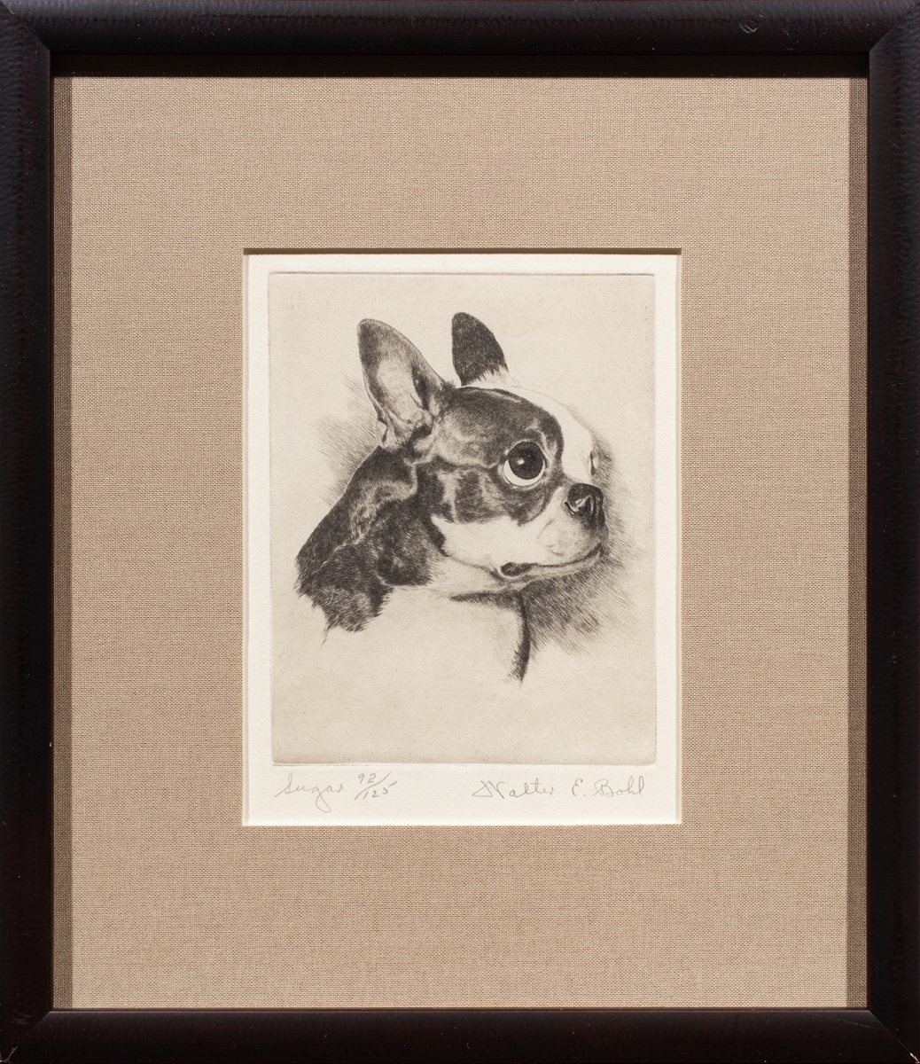 A detailed etching portrait of a small dog's head in profile.