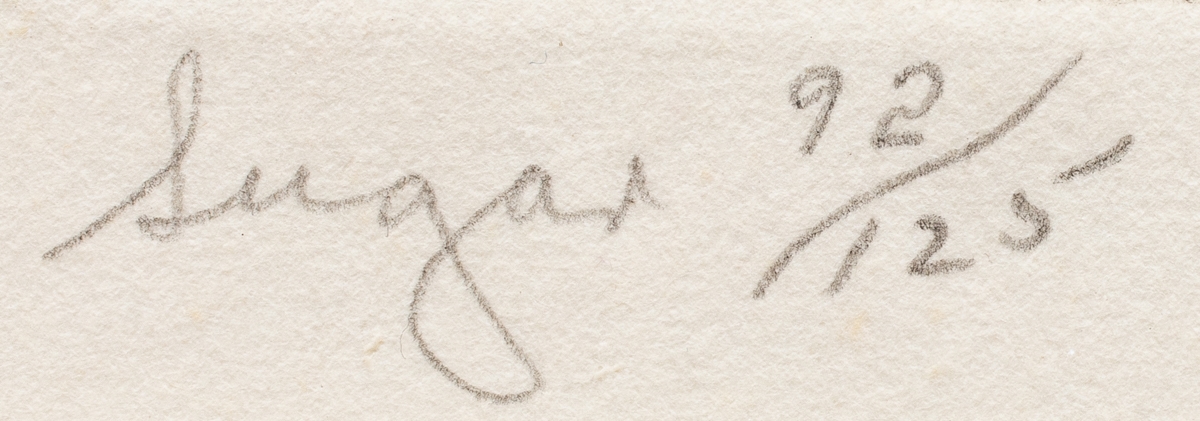 A detailed etching portrait of a small dog's head in profile.