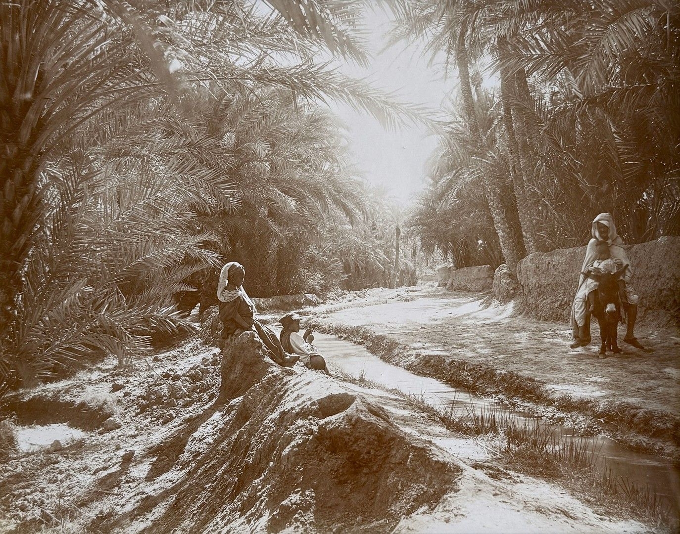 Jean Geiser | Set of photographs of Algeria (1880 - 1900) | MutualArt