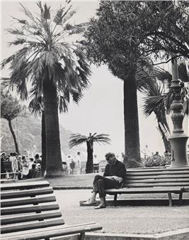 A black-and-white photograph captures a solitary figure resting on a park bench, framed by tall palm trees and a bustling background.
