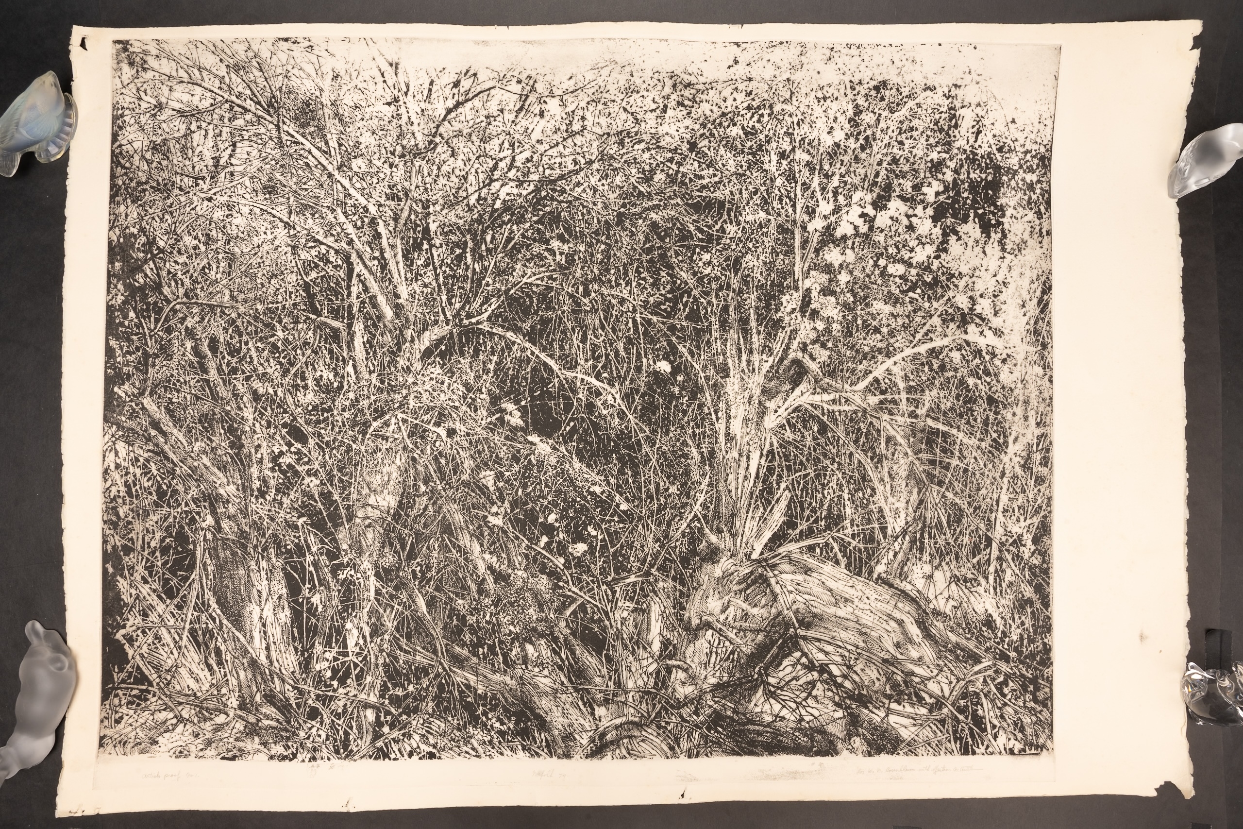 Arnold Bittleman | Cambridge Thicket | MutualArt