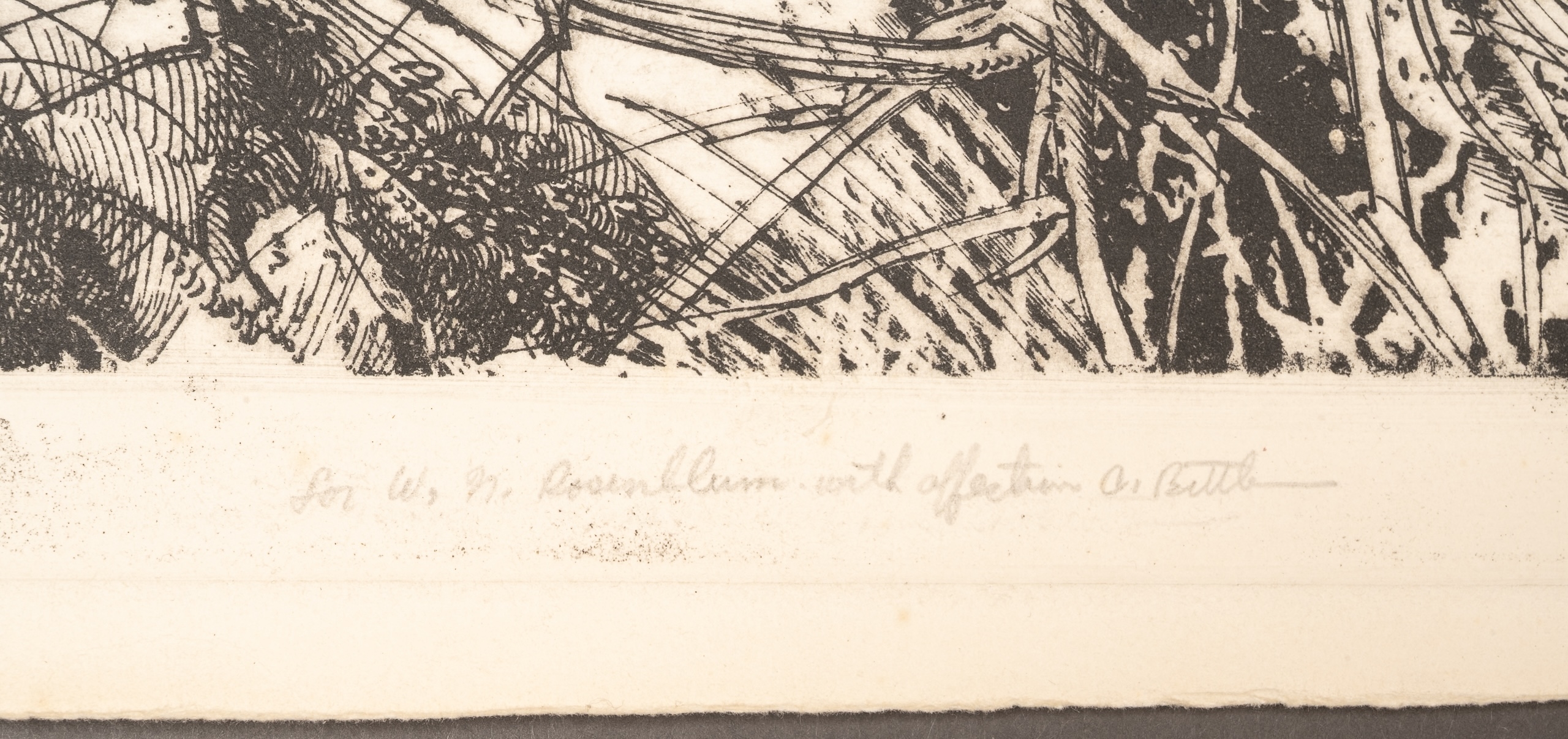 Arnold Bittleman | Cambridge Thicket | MutualArt