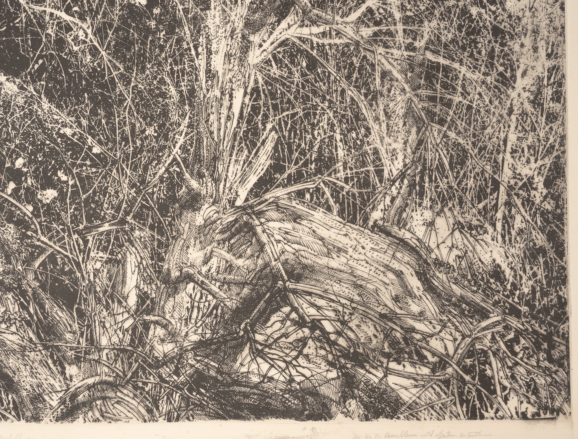 Arnold Bittleman | Cambridge Thicket | MutualArt