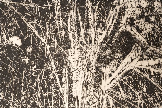 Arnold Bittleman | Cambridge Thicket | MutualArt