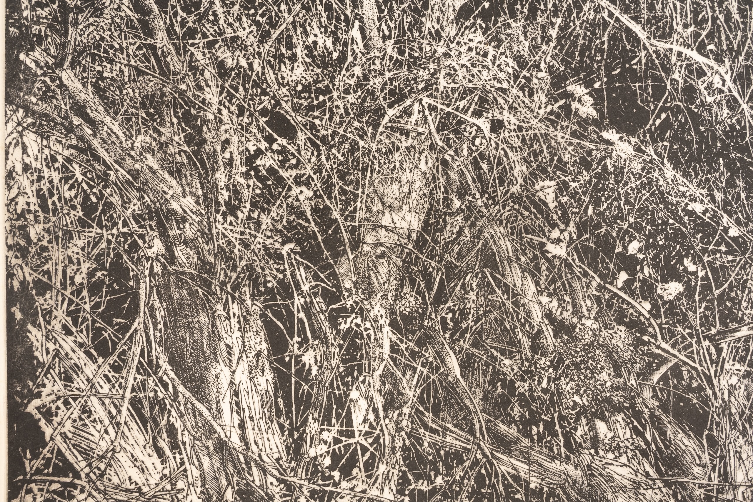 Arnold Bittleman | Cambridge Thicket | MutualArt