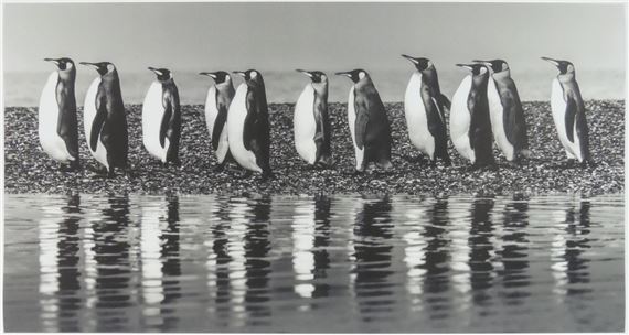 Ocean's Eleven - David Yarrow