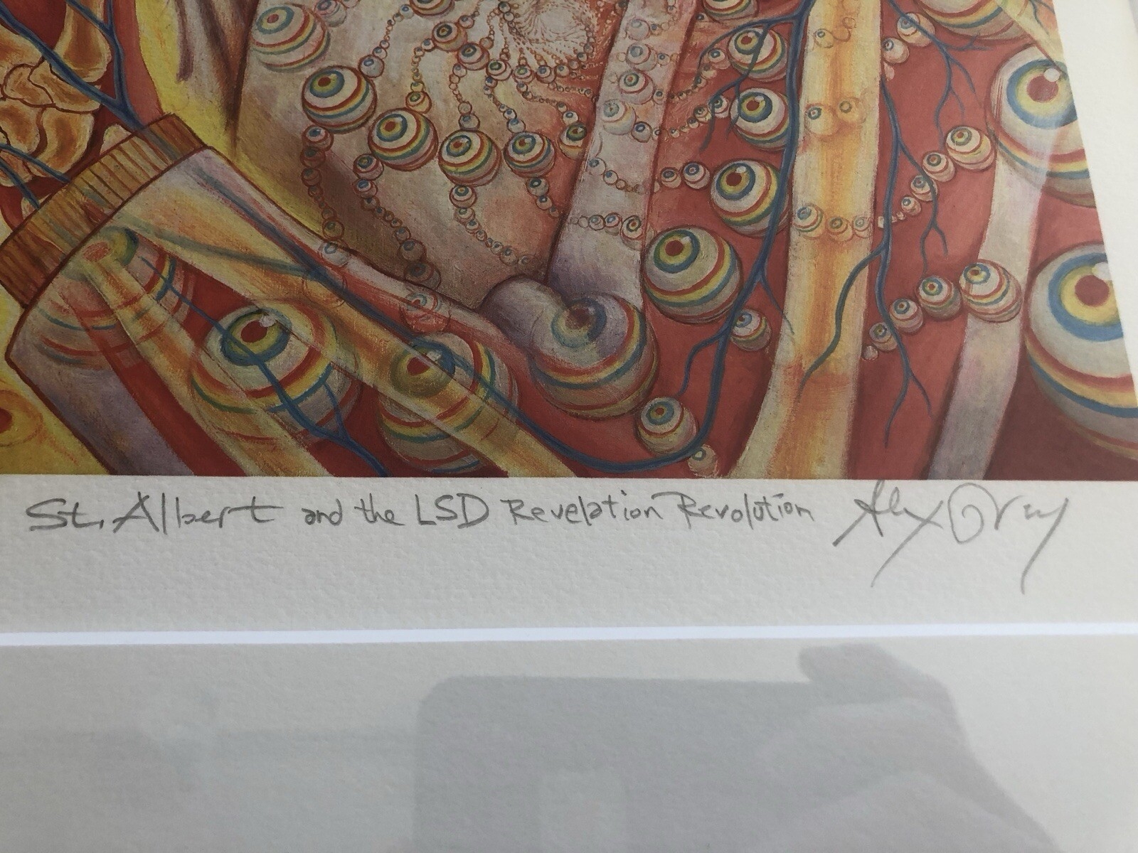 Alex Grey | Saint Albert and the LSD Revelation Revolution (2006 ...
