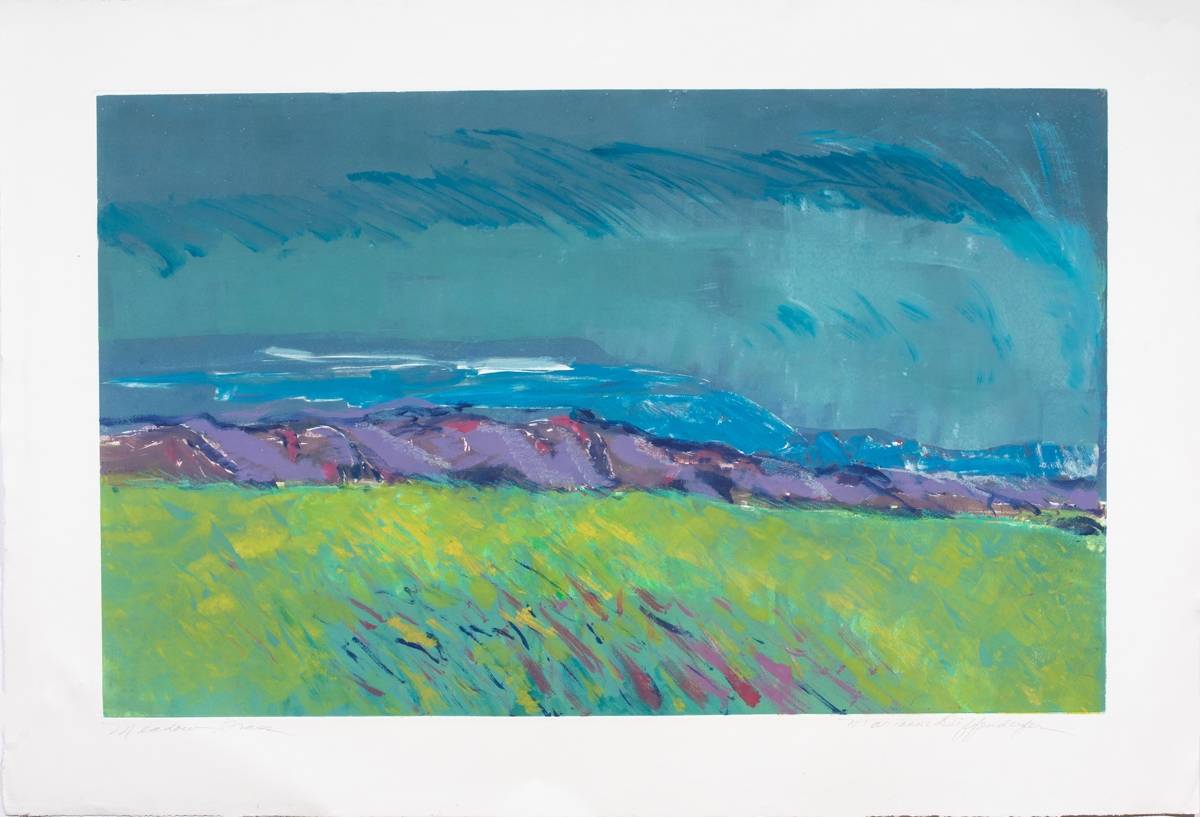 Marianne Diffenderfer | Meadow Grass | MutualArt