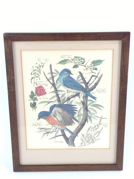 Arthur B. Singer | 4 Arther Singer Bird Prints | MutualArt