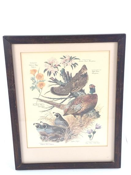 Arthur B. Singer | 4 Arther Singer Bird Prints | MutualArt