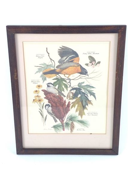 Arthur B. Singer | 4 Arther Singer Bird Prints | MutualArt