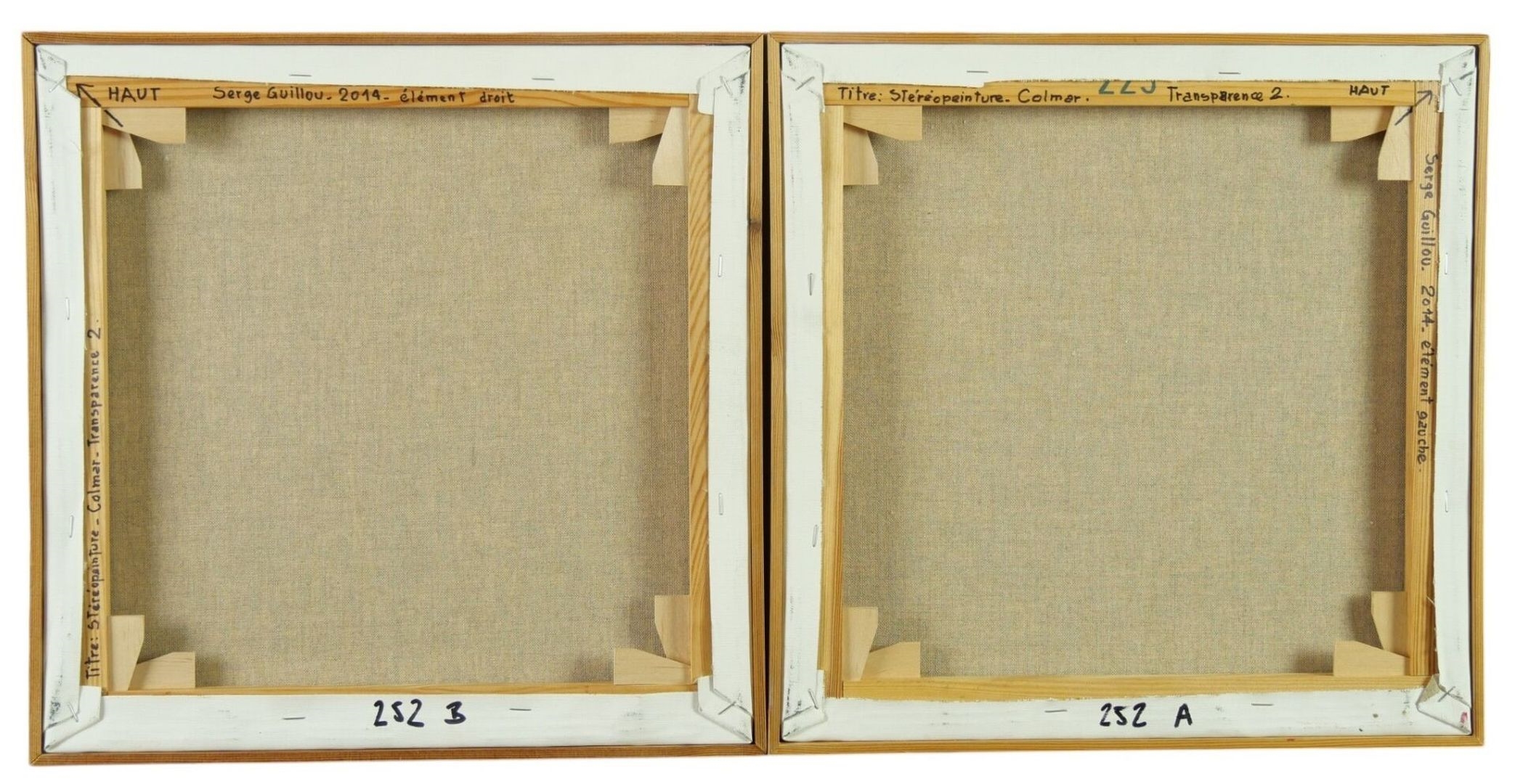 Serge Guillou | Stéréopeinture. N°252 Colmar Transparence 2 | MutualArt