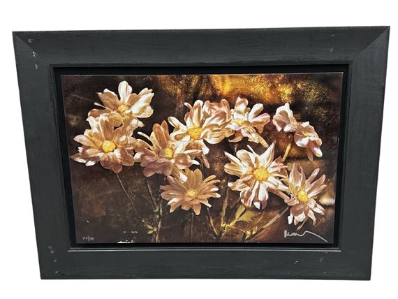 Noah Elias | Daisy Splendor | MutualArt