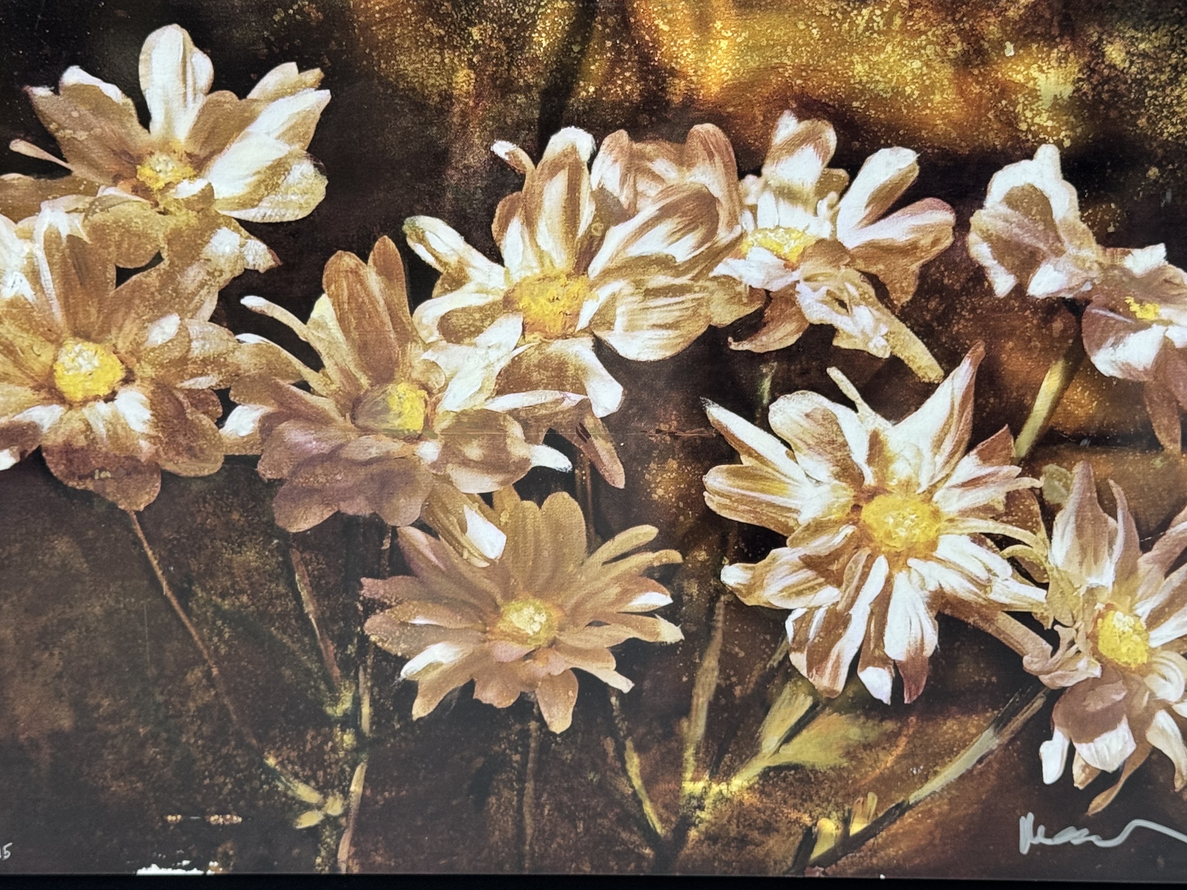 Noah Elias | Daisy Splendor | MutualArt