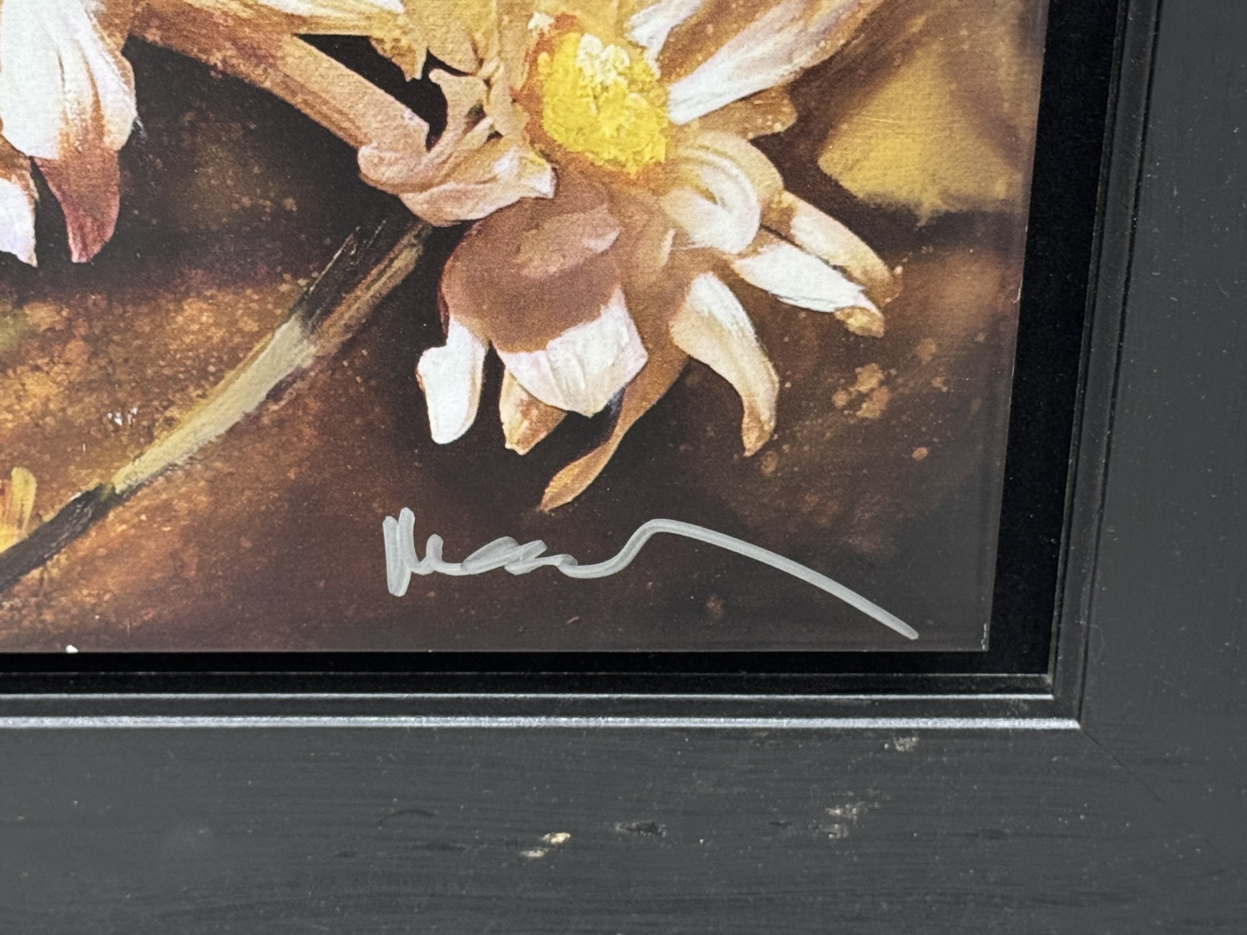 Noah Elias | Daisy Splendor | MutualArt