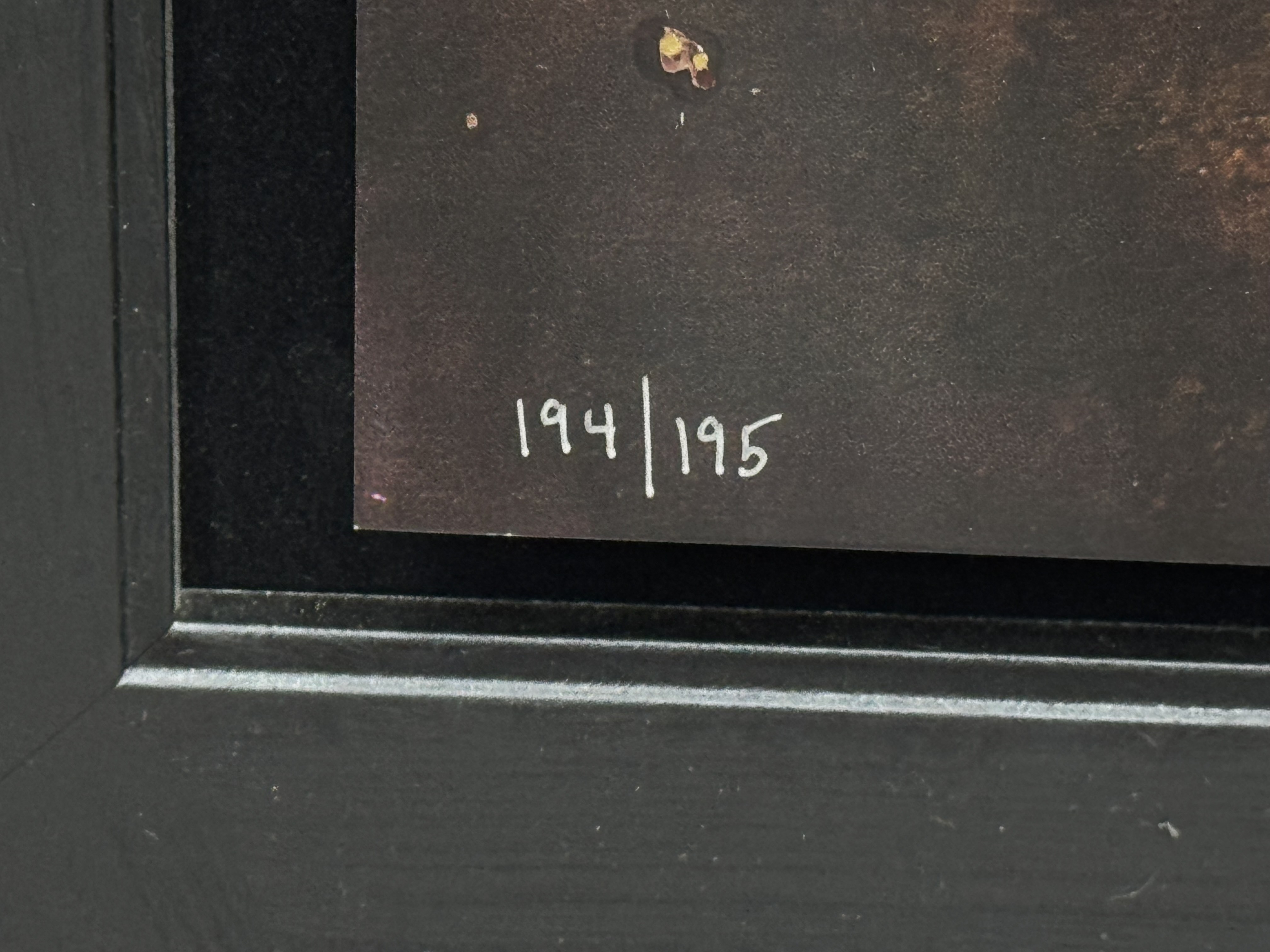 Noah Elias | Daisy Splendor | MutualArt