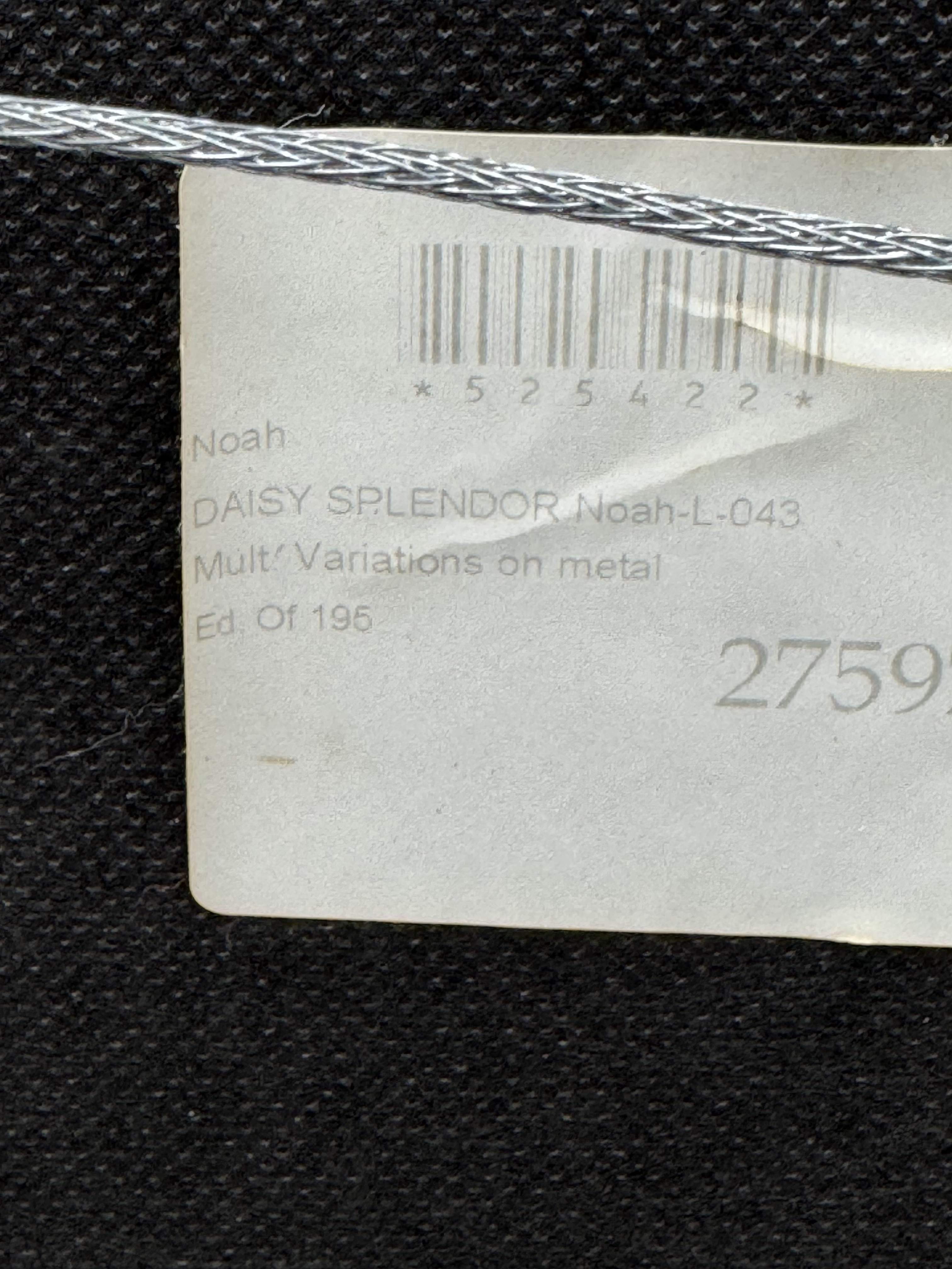 Noah Elias | Daisy Splendor | MutualArt