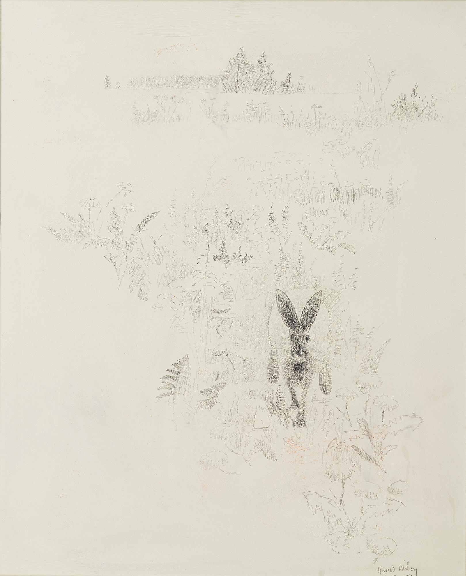 harald-wiberg-hare-in-the-