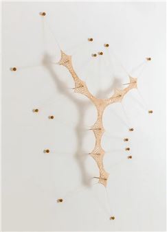 Ernesto Neto: Dreaming Beings - Tomio Koyama Gallery, Roppongi