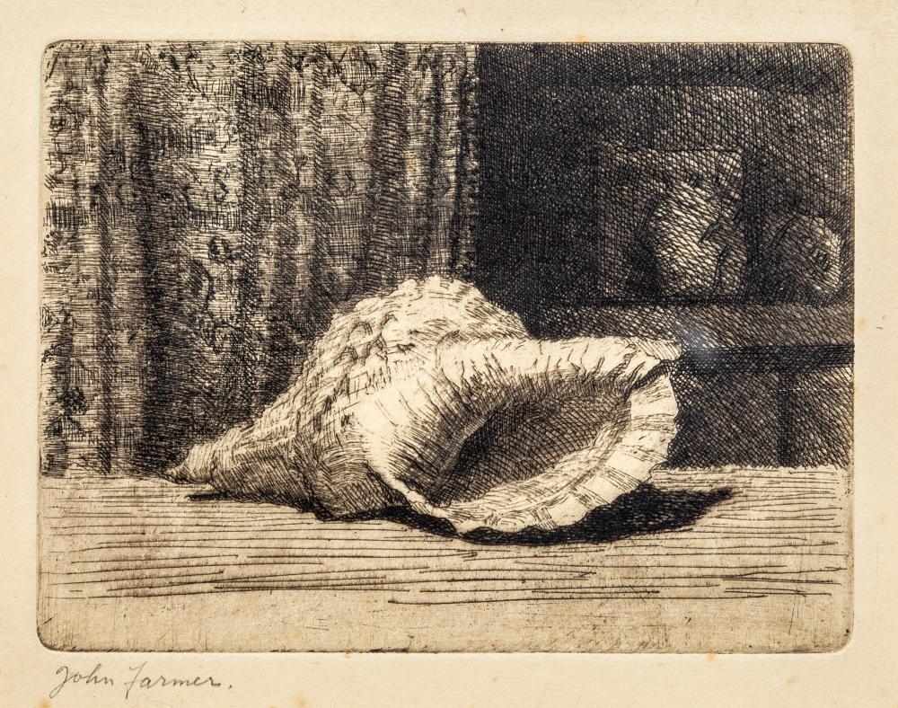 John Farmer | Shell Study | MutualArt