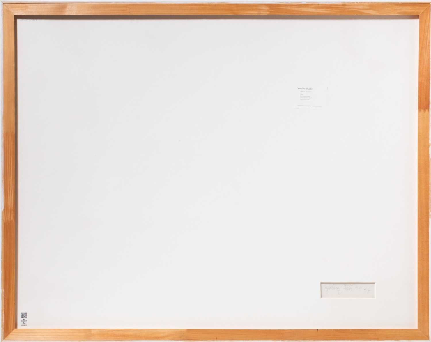 Magdalena Jetelová | Untitled (1991) | MutualArt